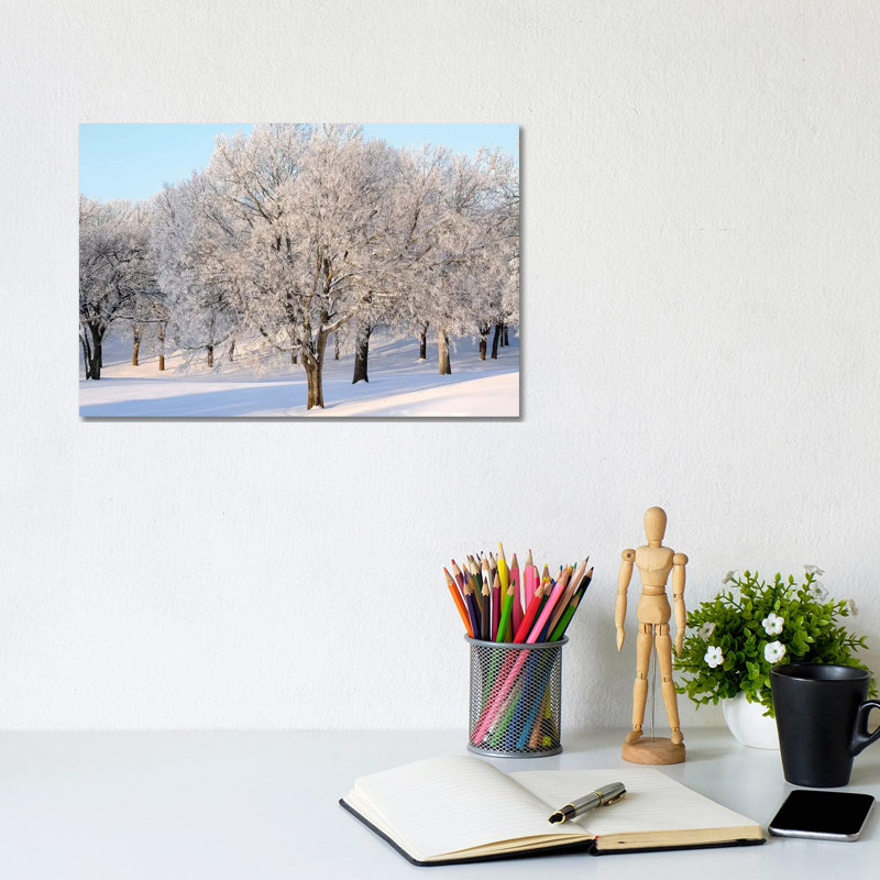 Frosted Trees by Brian Wolf - Wrapped Canvas Print, 20.32cm H x 30.48cm W x 1.91cm D