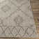 Hongming Southwestern Indoor / Outdoor Rug
