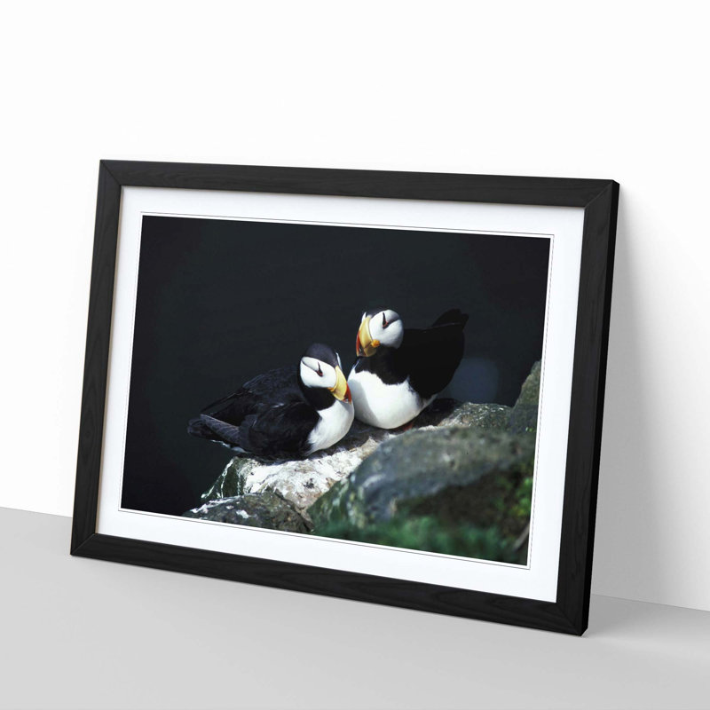 Atlantic Puffins Framed Photographic - Framed Print, Black