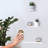 Alexee 3 Piece Floating Shelf