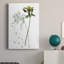 «Botany Flower I», impression sur toile tendue-760419830