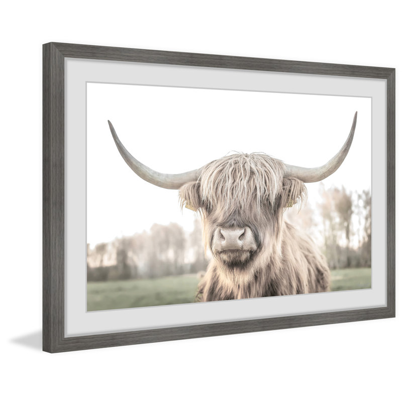 Cattle Portrait - Print, 61cm H x 61cm W x 3.81cm D, Grey Framed Paper