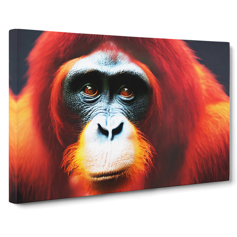 Enlivening Orangutan - Wrapped Canvas, 50cm H x 76cm W x 3cm D