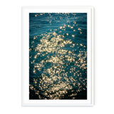 Sea Stars - Picture Frame Photograph on Paper 
