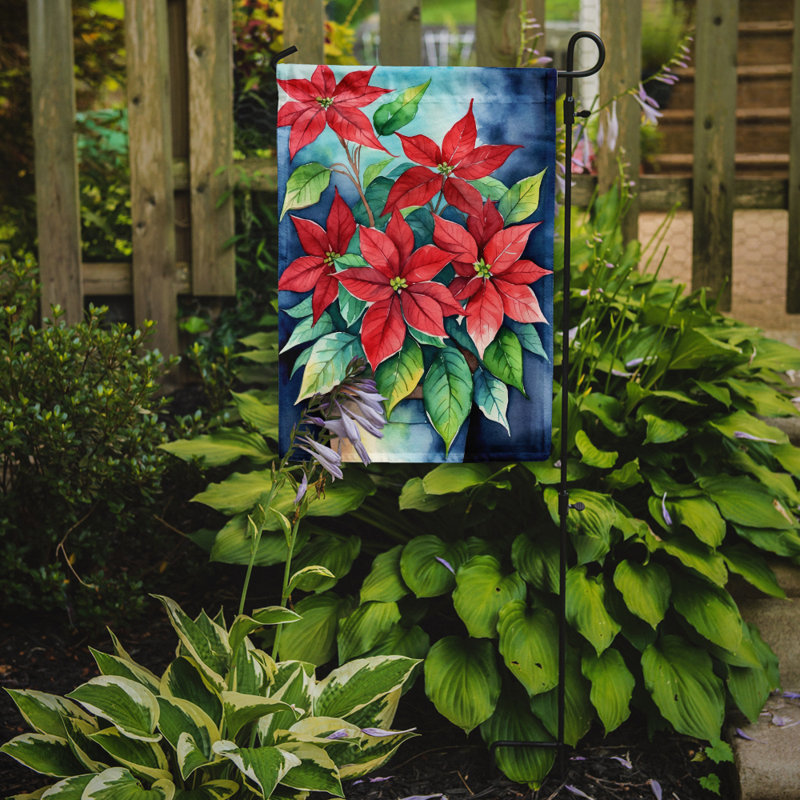Drapeau d'hypericum ou de millepertuis, Poinsettias