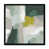Black Framed Paper Print selected