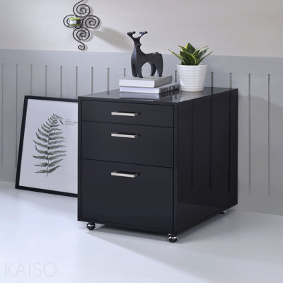 Armoire noire à finition brillante et chromée pour la décoration et le rangement modernes