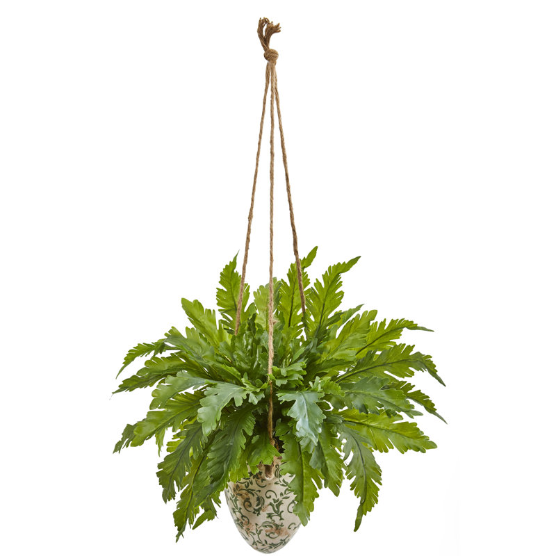 Vase de la plante dans un décoratif