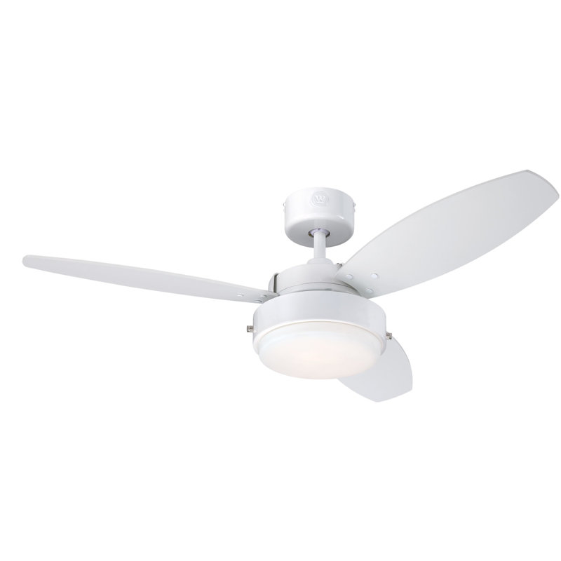 Apaui Ceiling Fan with LED Lights