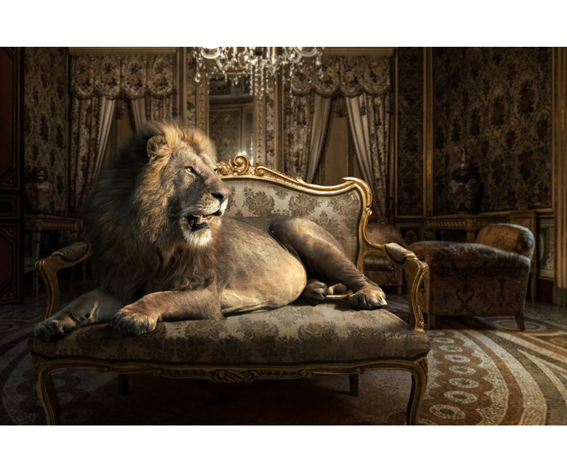 Wrapped Canvas Print, 60.96cm H x 91.44cm W