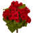 rouge sélectionné