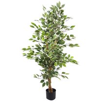 Tradala 4' Lush Artificial Tree Ficus 120cm / 4ft Tall with Real Wood –  Tradala Trees