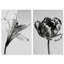 Peeking Flowers Set High-Gloss Frameless Acrylic Glass Wall Art Floral & Botanical Print by Oliver Gal, Ready to Hang, 10 x 15-819103883-819103897