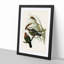 Little Green Pigeons by Elizabeth Gould - Picture Frame Painting Print-55580661-55580664