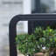 Tablette d'extérieur pour plantes en aluminium