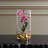 Mariposa Fuchsia Orchid