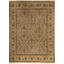 Wool Oriental Area Rug in Brown/Rust
