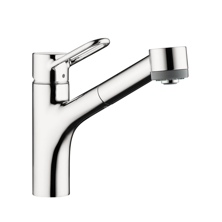 Talis Loop 10.25" Tall Pull Out Single Handle Kitchen Faucet
