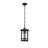 Almaha 12 inch Outdoor Pendant in Black