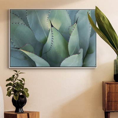 " Blue Agave I "
