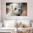 Brampt Maltese-108176866