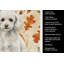Serviette de cuisine miniature miniature-2083472334