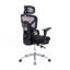 Fauteuil de bureau ergonomique avec support lombaire à massage, appui-tête 4D et accoudoirs 5D, dossier réglable haut et profondeur d'assise (noir)