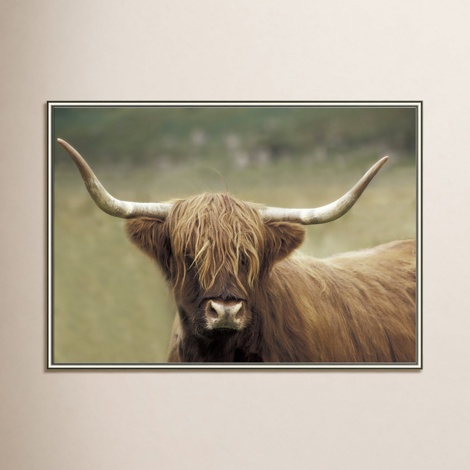 Highland Afternoon by Danita Delimont - Picture Frame Photograph, 30.75" H x 42.75" W x 0.88" D, Silver Framed