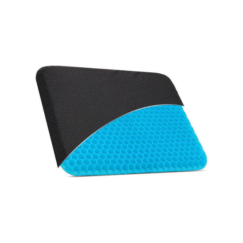 Ivy Bronx Seat Cushion