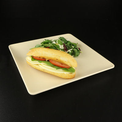 Assiette plate 10 po greenovations