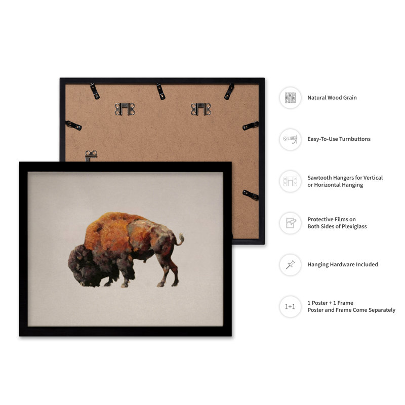 Bison bull, 18"H x 24"W, Poster, Black Framed