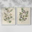 Pressed Arrangement III - Reproduction encadrée de qualité supérieure - prêt à être accroché - aucun clou requis - aucun clou requis-910220944-910221054
