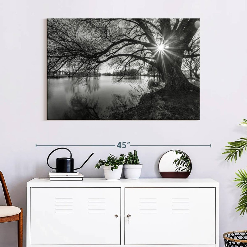 Harnek Sunlight Through Tree, 26" H x 39" W