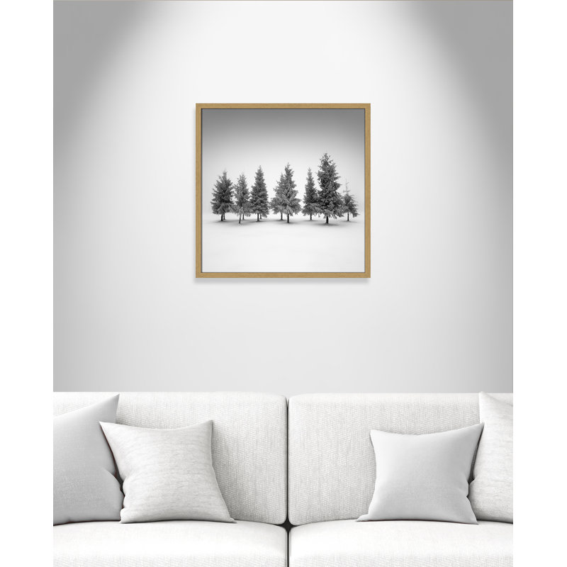 Impression d'épinette par Daniel, Grain de bois naturel, L 23,5 po x H 23,5 po, Impression encadrée