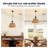 4-Light Boho Farmhouse Ratten Pandent Light