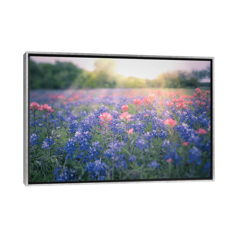 «Texas Bluebonnets» par Ann Hudec - reproduction de photo, Toile avec cadre argent, Pas de tapis, H 26 po x l 40 po x 1,5 po