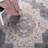 Dostie Phoenix Performance Oriental Rug-1850149384