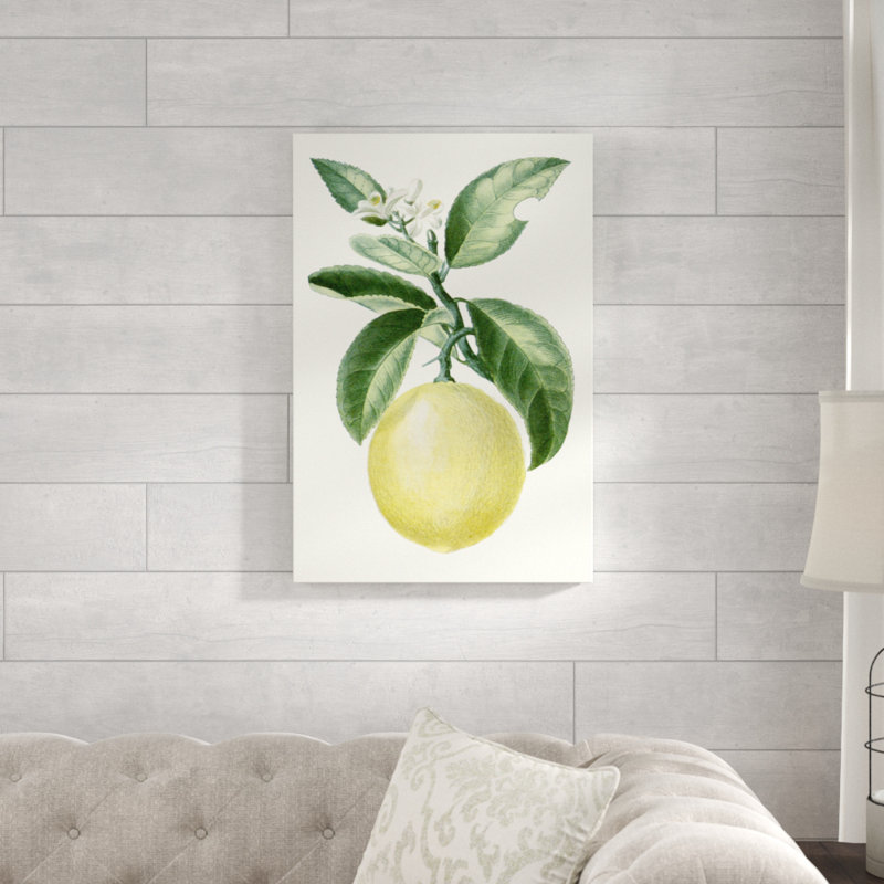 Turpin Fruit I 1 Piece Painting on Canvas, 76cm H x 51cm W, Wrapped Canvas