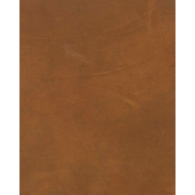 1175 Saddle Sample