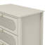 Arthen Rattan 4 Drawer Chest of Drawer-115334303