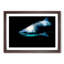 Shark in the Shadows - Picture Frame Graphic Art Print-55764615-55764612