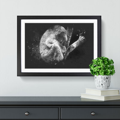 Koala Bear Resting in a Tree - Framed Print