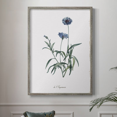 Imperial Blue Framed Print - Solid Wood