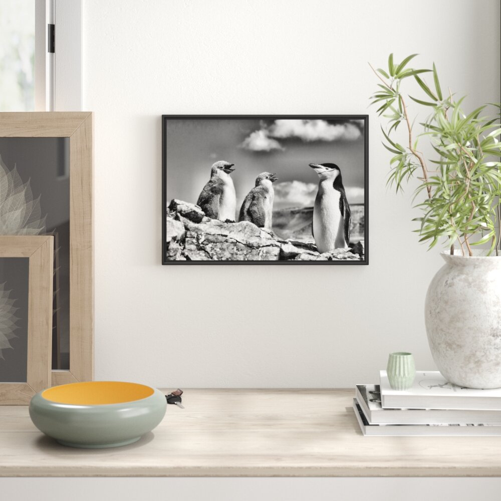 Gerahmtes Wandbild Pinguin mit süßen Küken