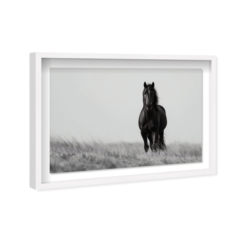 Lone Stallion I Print by Oliver Gal, 11.5" H x 16.5" W, White Shadowbox