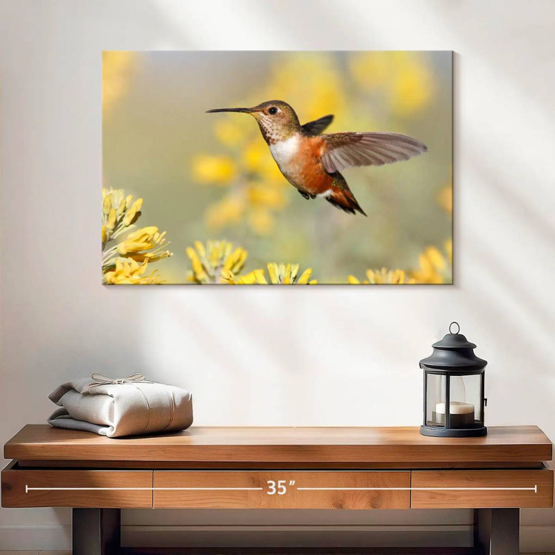 Brampt Allen's Hummingbird, 16" H x 24" W