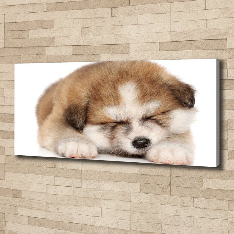 Akita Puppy - No Frame Print on Canvas
