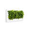 Metal Planter-1545934793