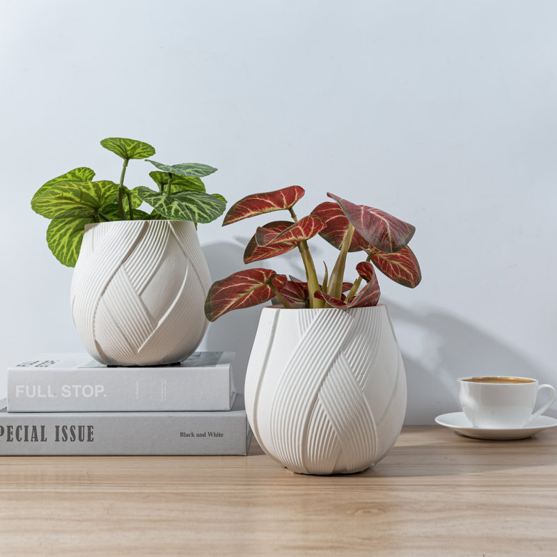 Ensemble de 2 pots à fleurs d'intérieur