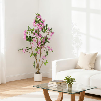 118cm Plant
